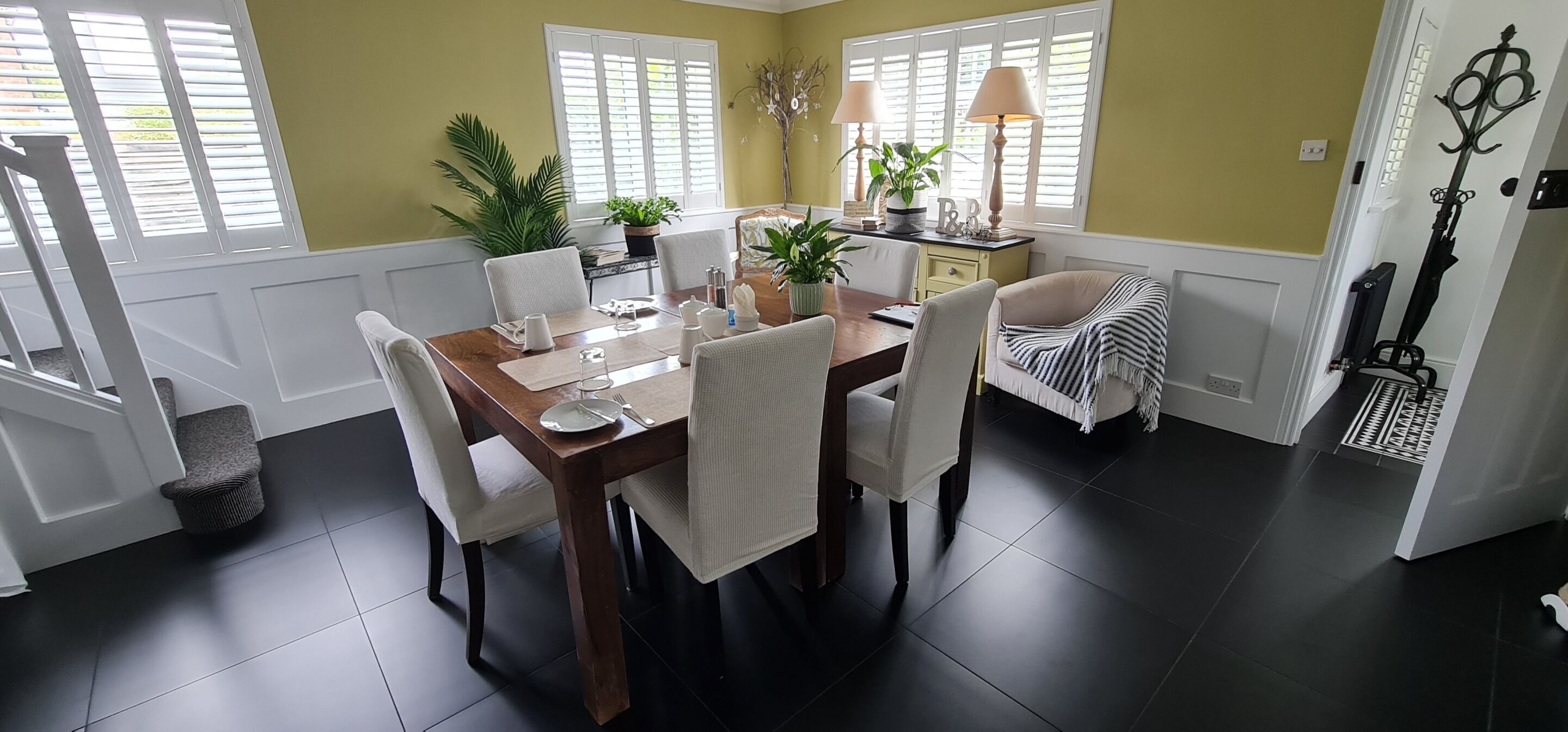 Foto - Wisteria Haze