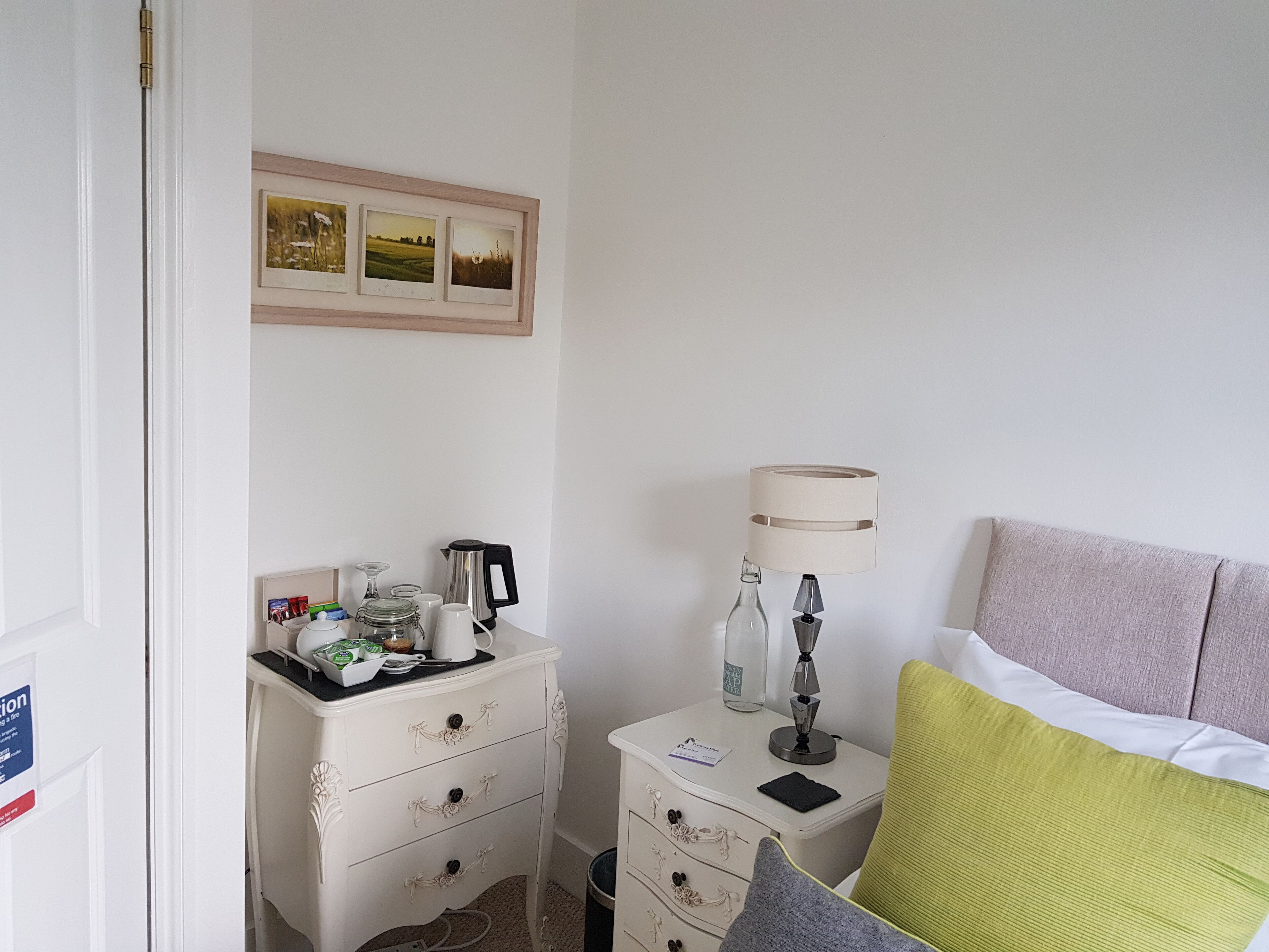 Foto - Wisteria Haze