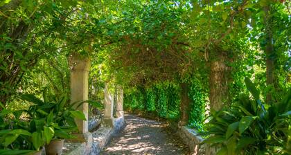 SON VIVOT - Nº5 DÚPLEX APTO - ADULTS ONLY - Raum mit Gemeinschaftspool in Inca. WiFi gra