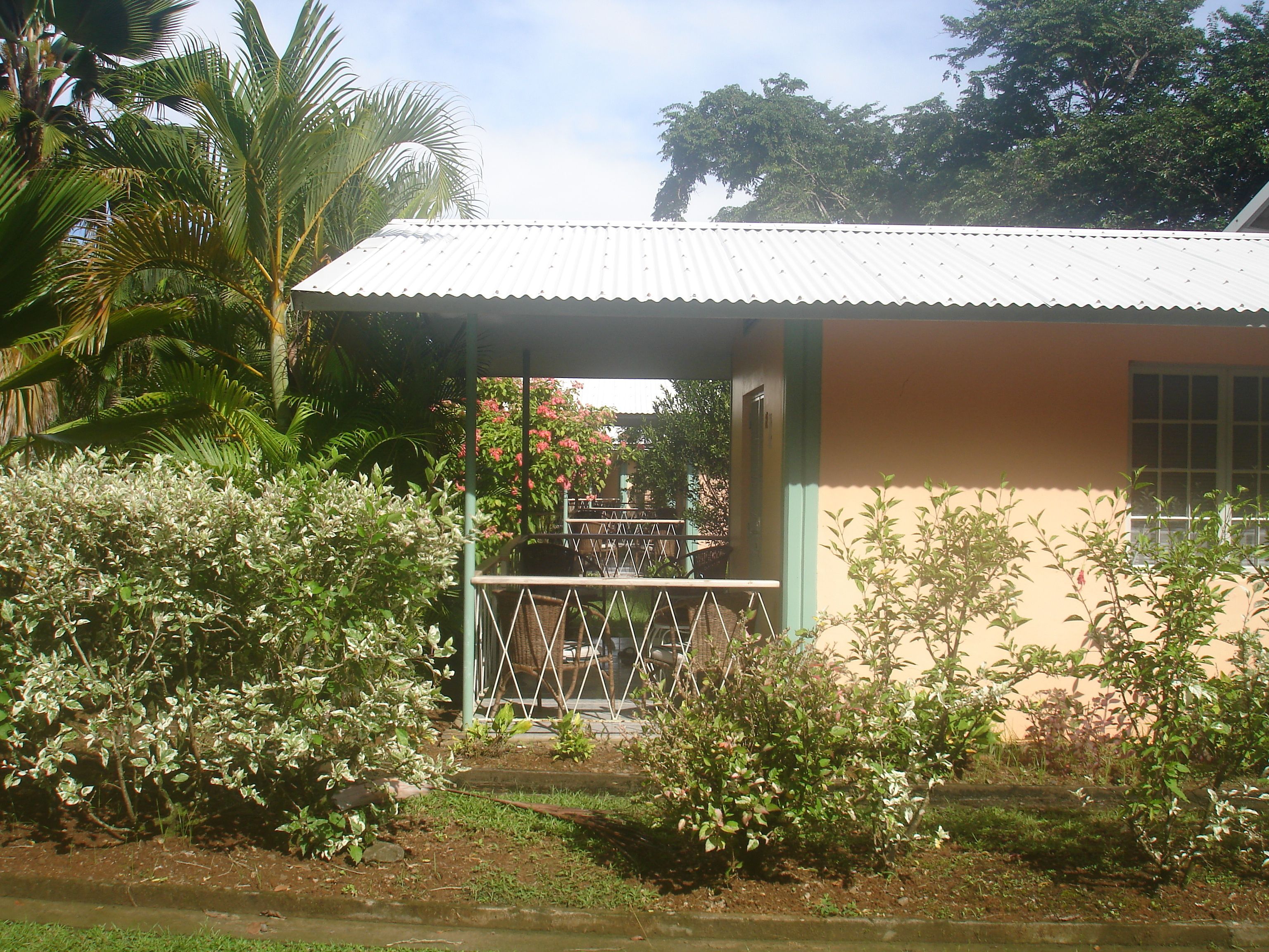 A building with a corrugated metal roof, surrounded by lush greenery and flowering plants.
