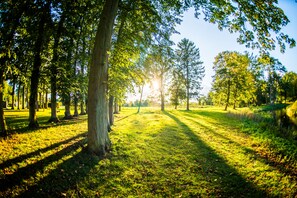 Overnatningsstedets område