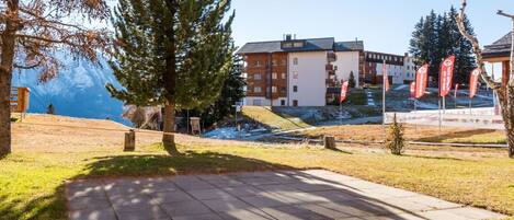 Área da propriedade