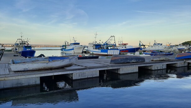 Una marina con varias embarcaciones amarradas en muelles de madera.
