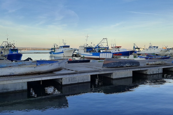 Paseos en bote