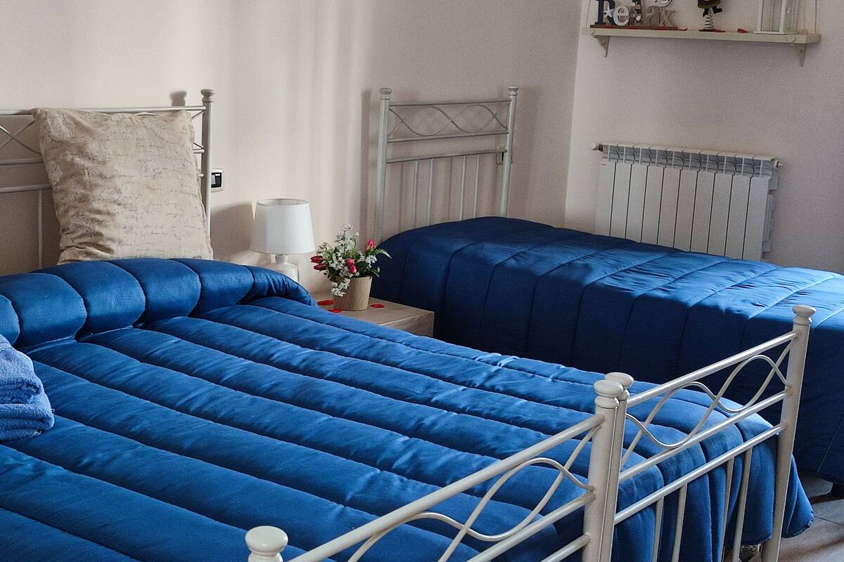 A room with two beds, each with a metal frame and blue bedding. There is a nightstand with a lamp and a flower vase between the beds.