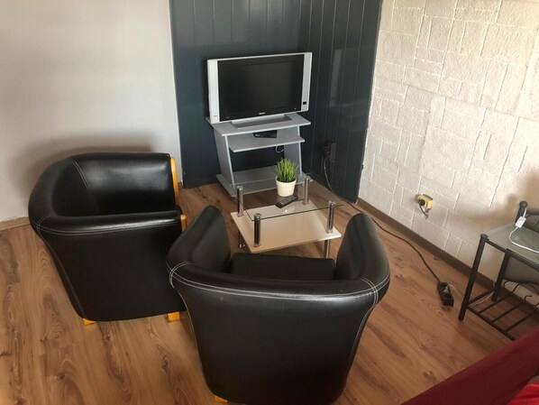 Una habitación con dos sillones de cuero negro, una mesita con una planta, un televisor sobre un mueble bajo y una pared de ladrillo.