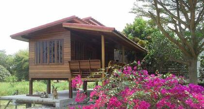 Pun Na Homestay Bangsai