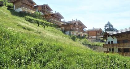 Les Mayens MB 012 - LUXURY apartment 8 pers