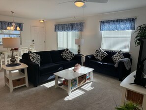 Flat-screen TV