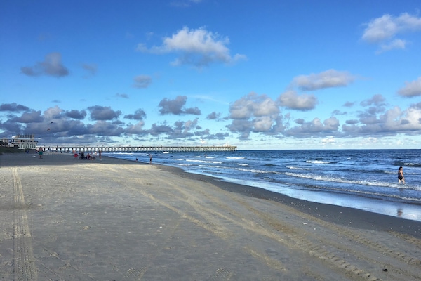 Plage, chaises longues