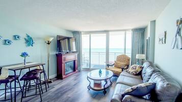 电视、壁炉、DVD 播放器、影片库