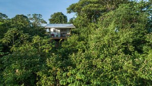 A house surrounded by dense foliage. - Torio guesthouse with panoramic view- Kokomo (Torio)
