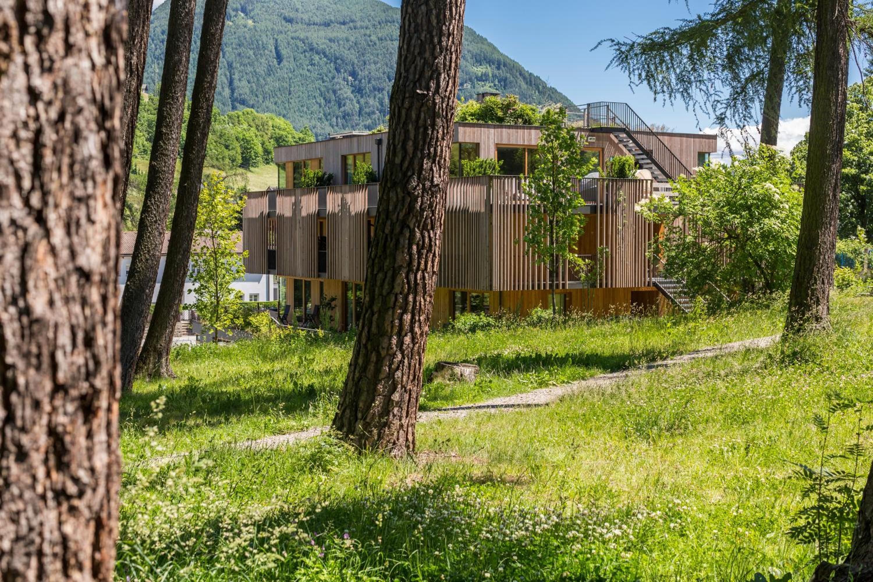 A modern building with a wooden facade, surrounded by trees and a mountain in the background.