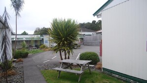 A residential area with a paved driveway, a picnic table, and a small garden with a palm tree. - The Ohakune Central Backpackers & Cabins (Ohakune)