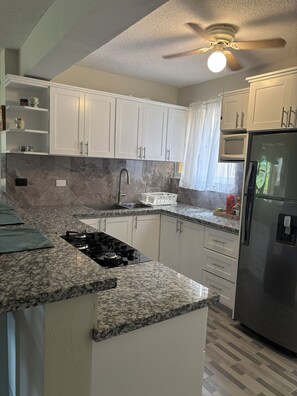 Kühlschrank, Mikrowelle, Ofen, Herdplatte