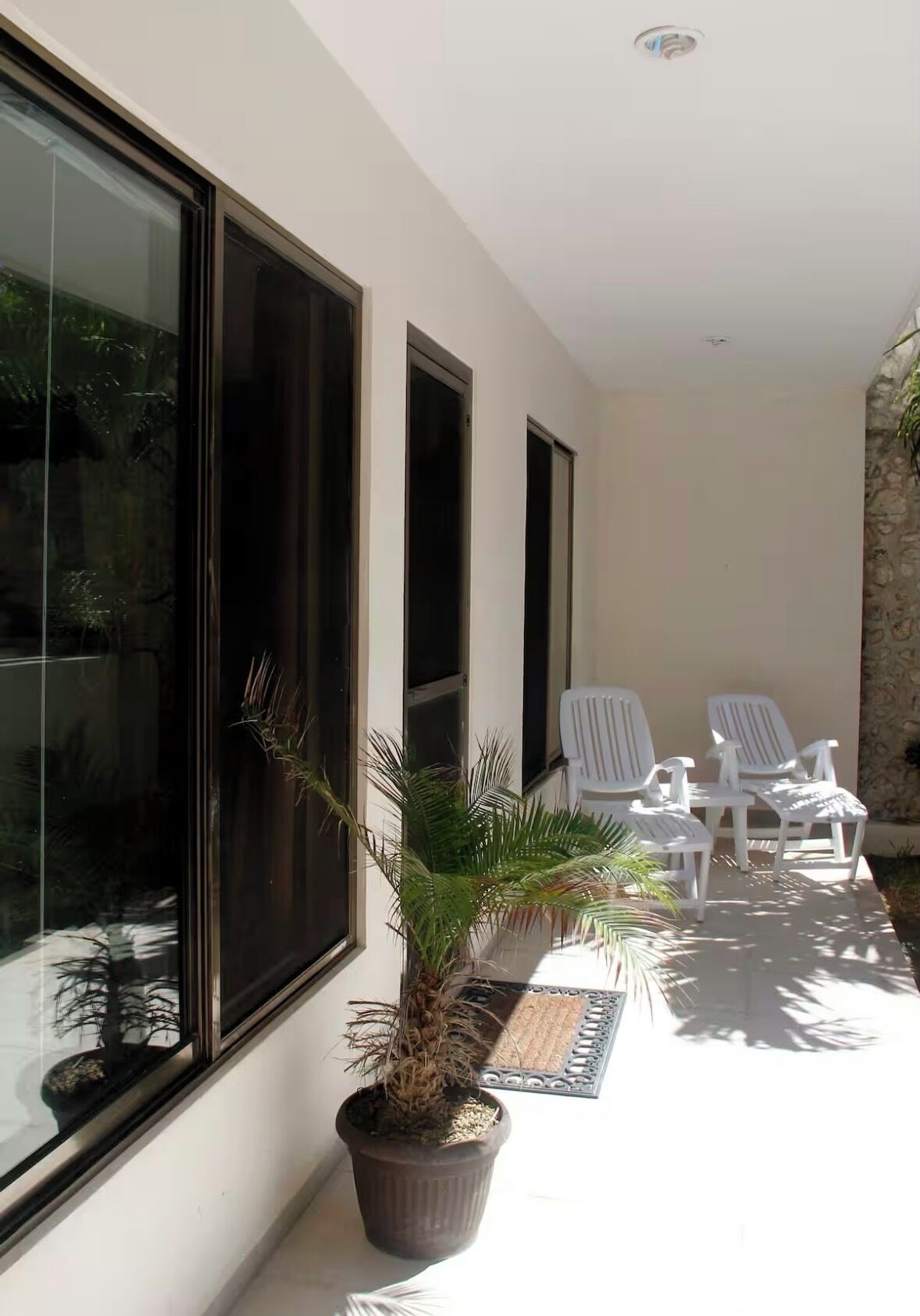 Un espace patio avec de grandes fenêtres, une plante en pot et des chaises blanches.
