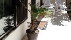 A patio area with large windows, a potted plant, and white chairs.