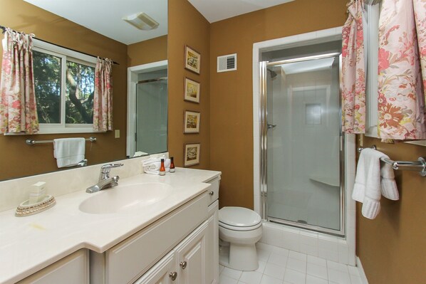 A bathroom with a white sink, a toilet, and a glass-enclosed shower. - Oceanfront, Private Beach Access (Hilton Head)