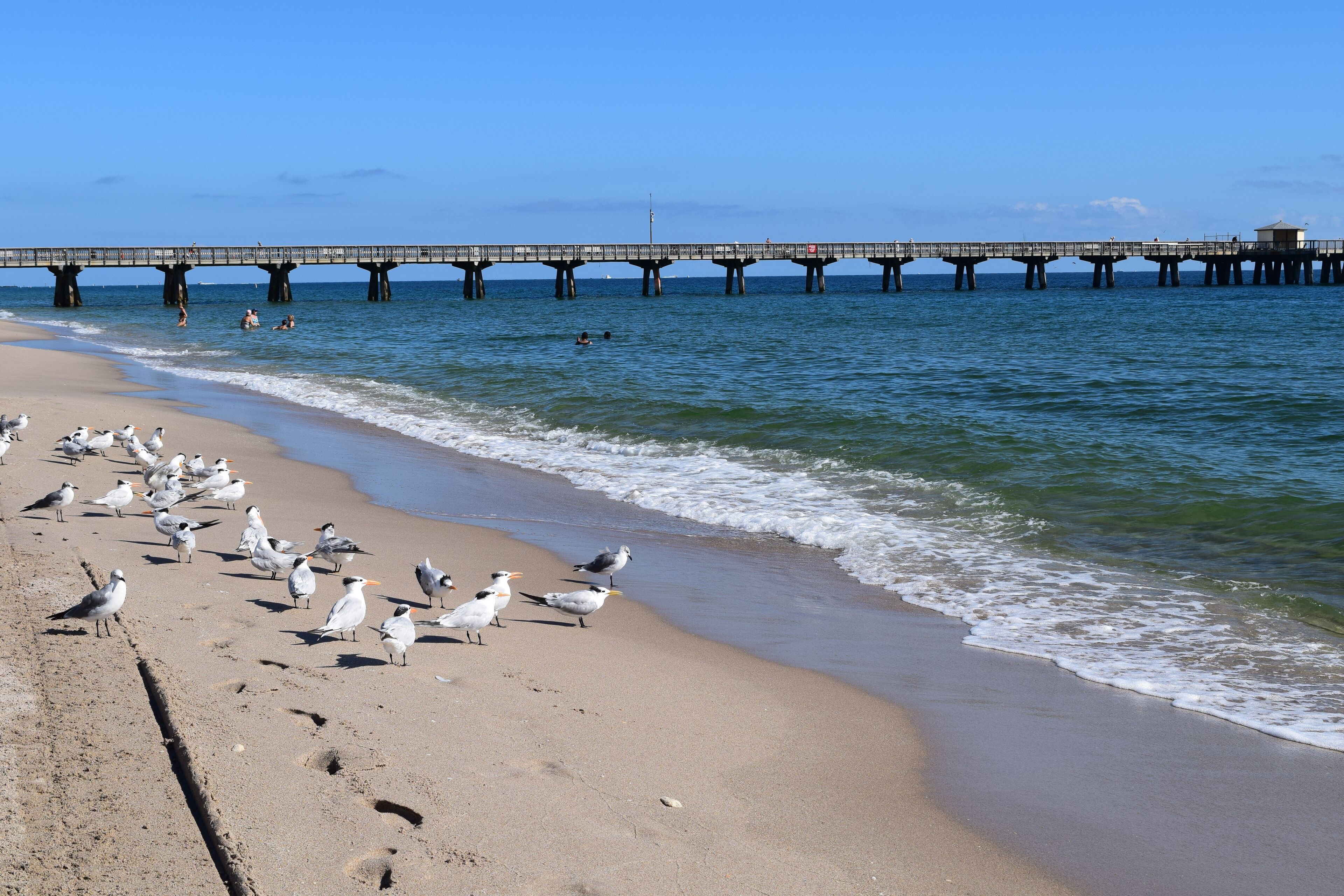 Best Family Retreat: Heated Pool/Tiki Hut/Minutes Away From White, Sandy Beaches