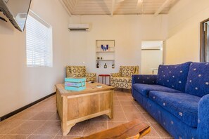 Smart TV, stereo - Old Aloe House - A 100 year old, fully renovated vacation home  (Savaneta)
