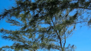 Beach nearby, sun-loungers, beach towels