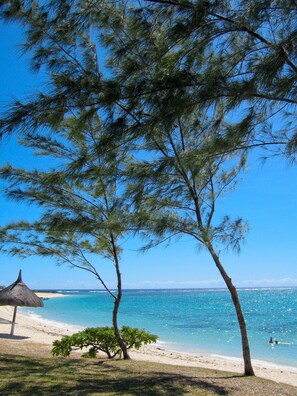 En la playa, camastros y toallas de playa 