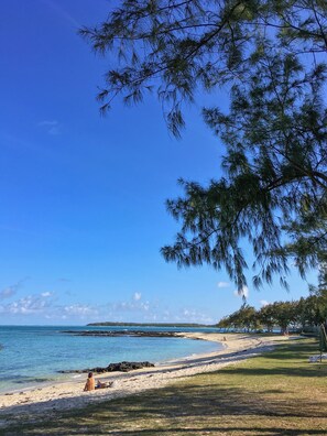 Ubicación a pie de playa, tumbonas y toallas de playa