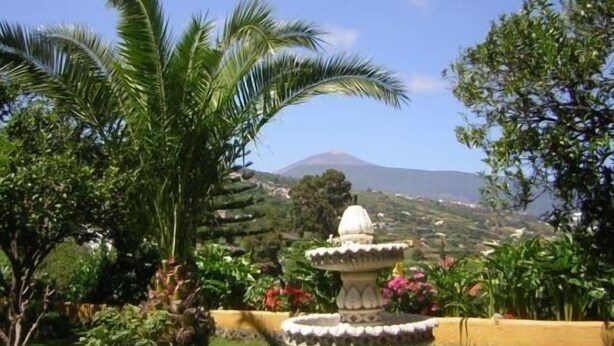 A garden with a central fountain, lush greenery, and a mountain in the background. - Casa rural Villa Caya for 4 people (Orotava (La))