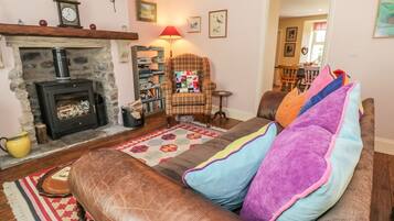 TV, fireplace, DVD player, books