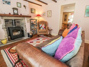 TV, fireplace, DVD player, books