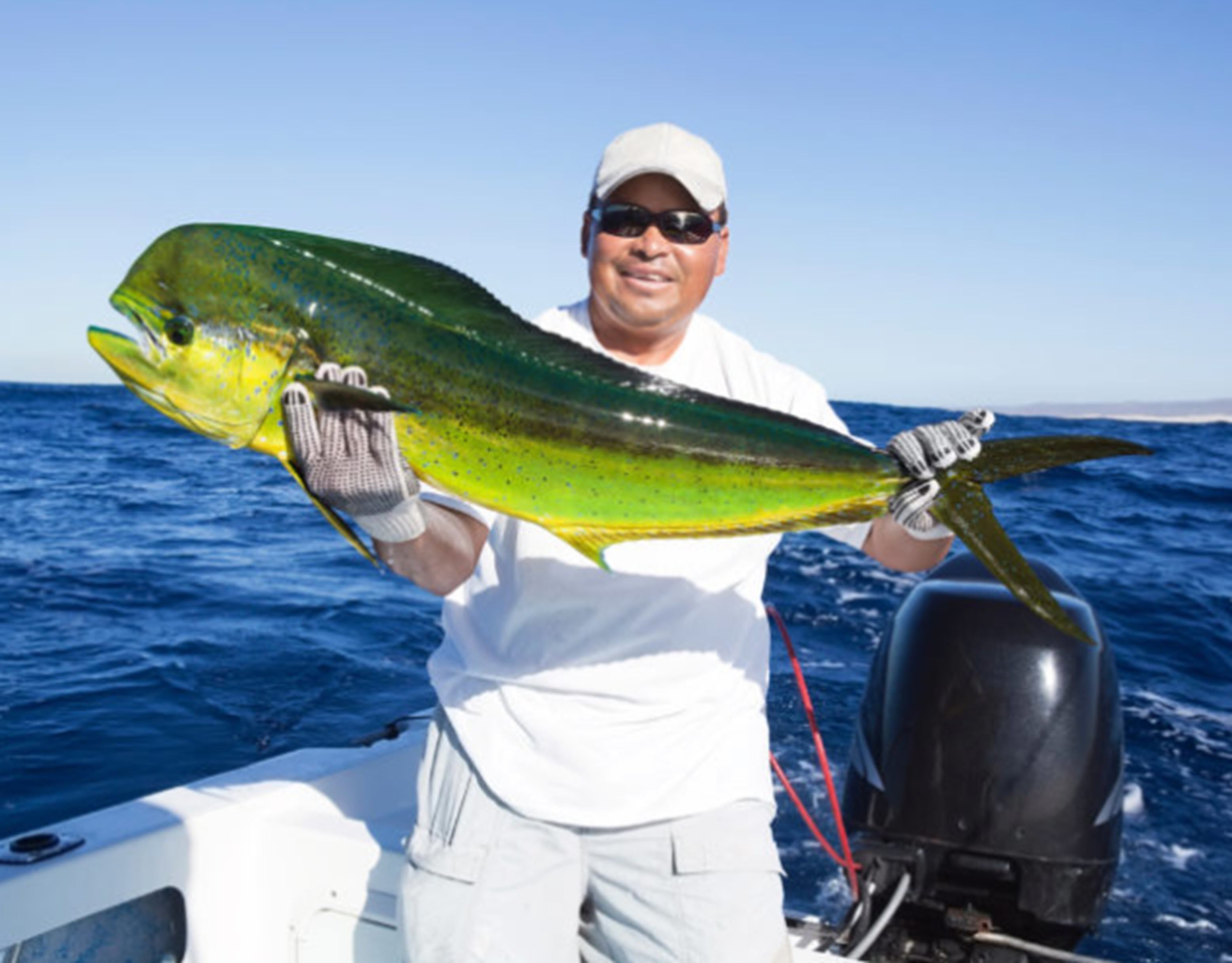 Pesca