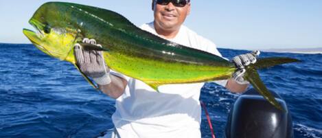 Pesca