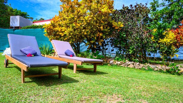 Dos sillones de madera con cojines, un área con césped y una variedad de plantas y árboles.