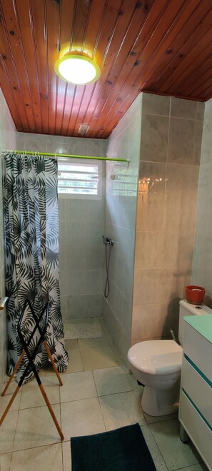 Bathtub, towels, toilet paper