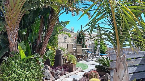 A garden with tropical plants, a stone pathway, and a wooden fence.