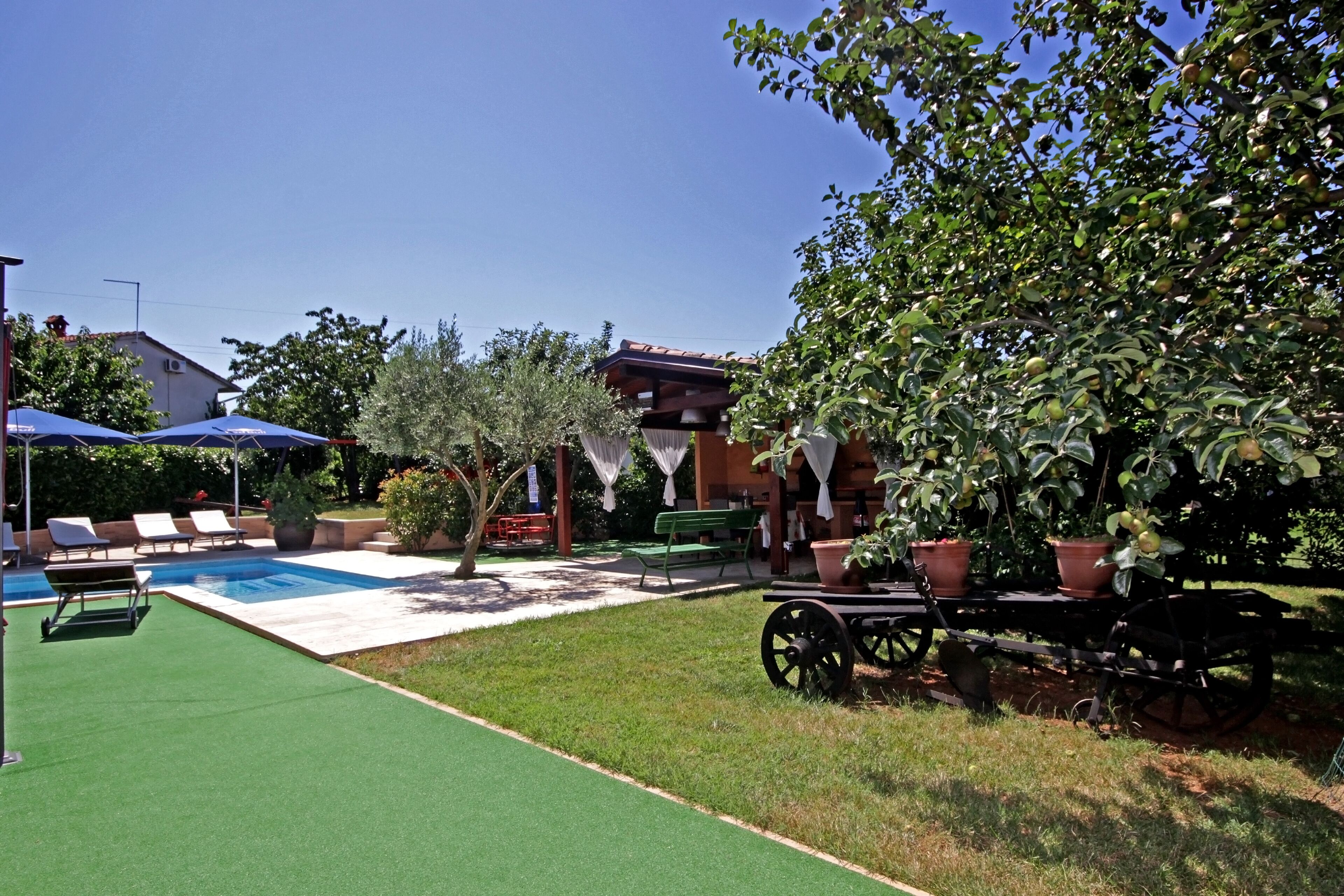 A backyard with a swimming pool, green lawn, lounge chairs, and potted plants.