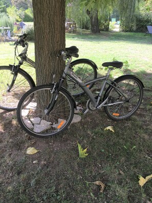 Un vélo est garé à côté d’un arbre dans une zone herbeuse, avec une table de pique-nique et un abri de jardin en arrière-plan.