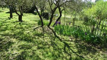 Een weelderige tuin met volwassen bomen, een houten omheining en diverse groene planten.
