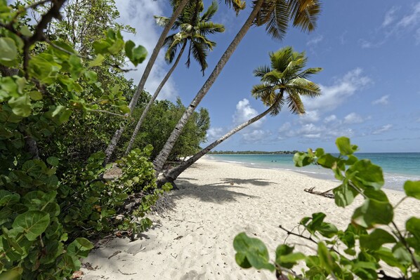 Beach nearby - Charming Villa with Pool and Breathtaking View of the Caribbean Sea (Les Trois Ilets)