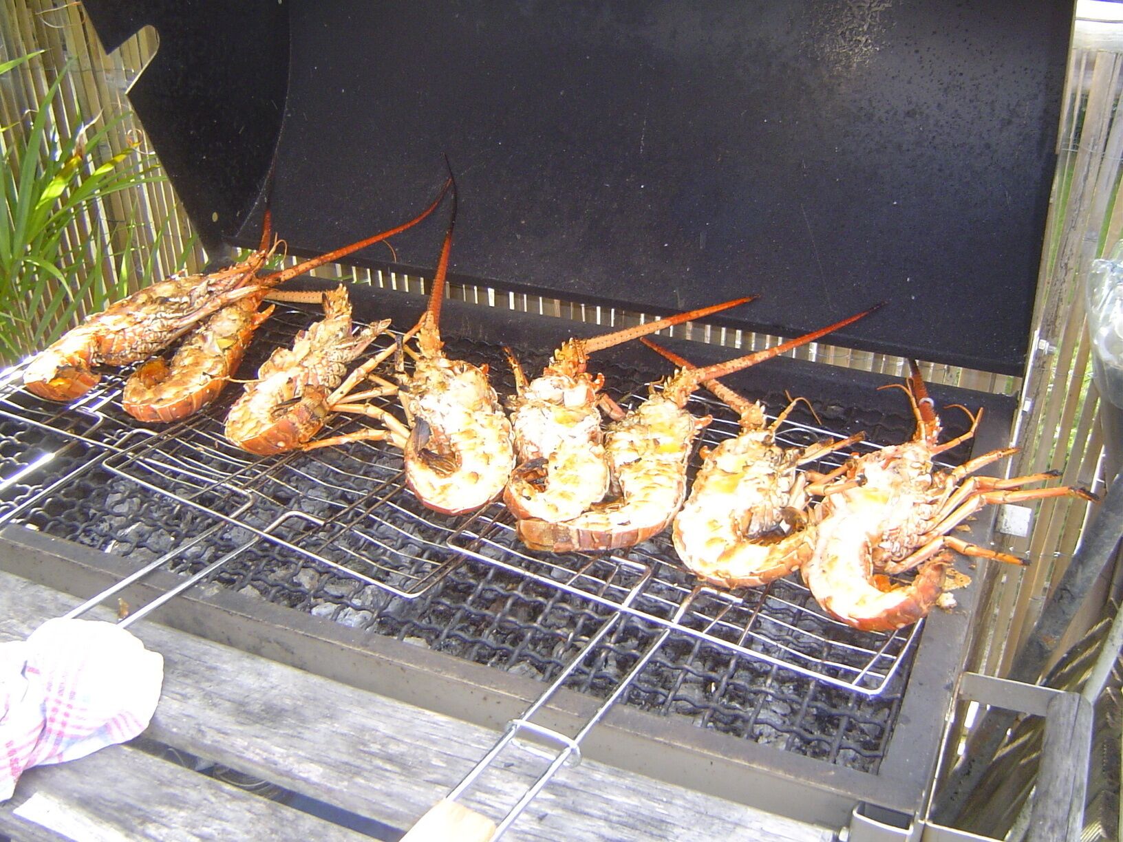 Hummer werden auf einem Holzkohlegrill zubereitet.