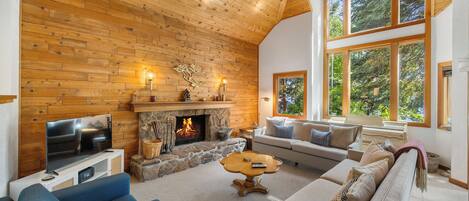 TV connectée, cheminée, lecteur de DVD, livres