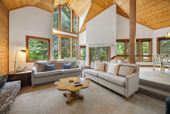 TV connectée, cheminée, lecteur de DVD, livres