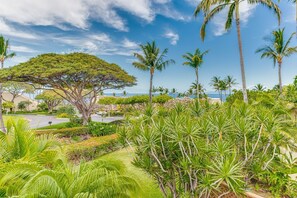 Property grounds - Top Floor Spacious Ocean View Condo! Minutes to Beaches, A/C, Wifi, Pool (Kihei)