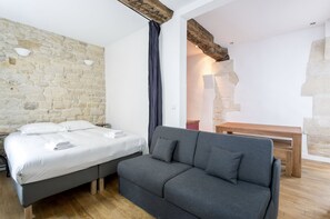 2 bedrooms, iron/ironing board, WiFi, bed sheets - Saint Paul, Marais History France Louis XIV &XV (Paris)