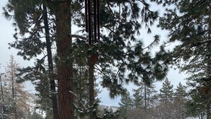 Un paisaje cubierto de nieve con una valla de madera al frente.