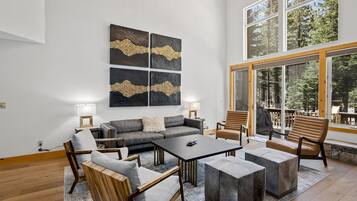 Smart TV, fireplace, DVD player, books