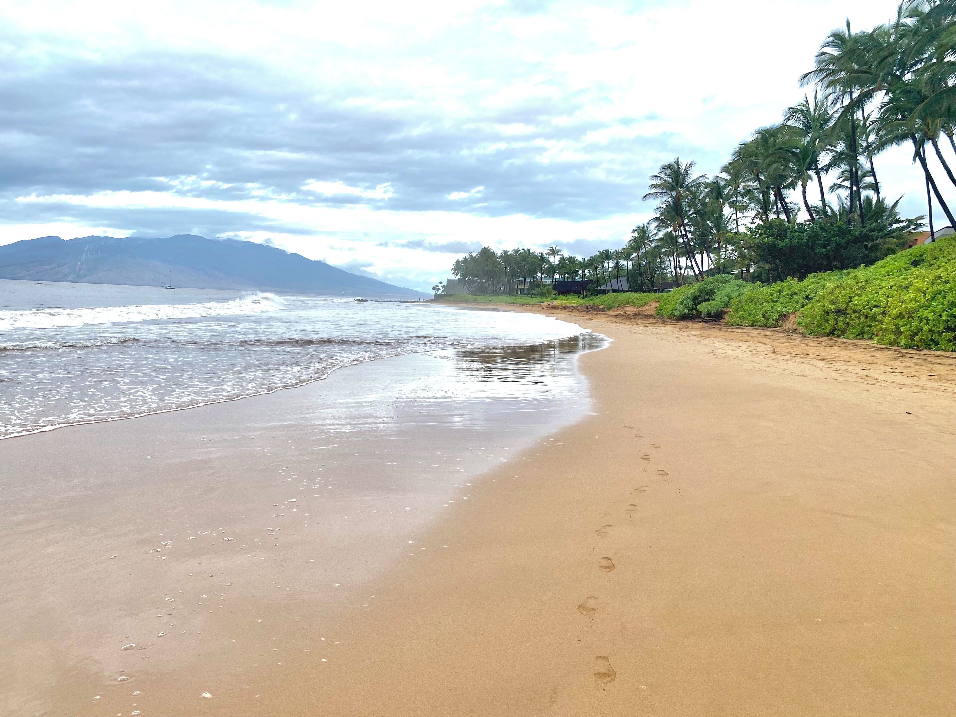 Sun loungers, beach towels