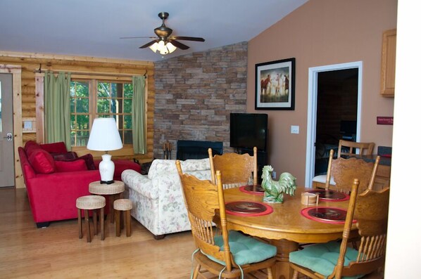 Smart TV, fireplace, DVD player, books