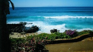A beach with waves crashing onto the shore, a clear sky, and some greenery in the foreground. - Kaluako'i Resort Cottage 1A Beachfront Rental - Molokai, Hawaii (Maunaloa)