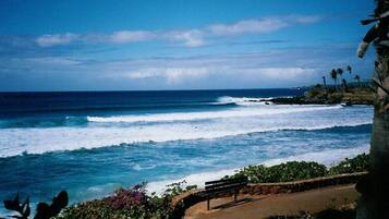 Plage, serviettes de plage